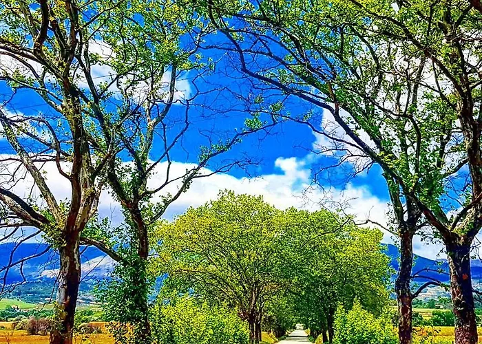 Isabel De Gouveia Бельмонте